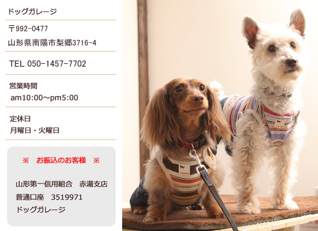 店舗名：ドッグガレージ  販売責任者：小林定広  住所：〒999-2211 南陽市赤湯823-4 電話番号：0238-43-5509  メールアドレス：info@dog-garage.com  営業時間：AM10:00～PM5:00  定休日：月曜日・火曜日  お振込先：山形第一信用組合 赤湯支店 普通口座 3519971 ドッグガレージ